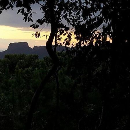 Chale Dos Tucanos- Parede De Vidro Com Linda Vista Кампус-ду-Жордау Экстерьер фото